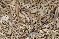 biomass boilers Duncombe